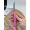 Sürdövbisa 61010 6lı Meyve Seti (Sivri Uç ) Pembe