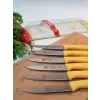 Sürdövbisa 61010 6lı Meyve Seti (Sivri Uç ) Sarı