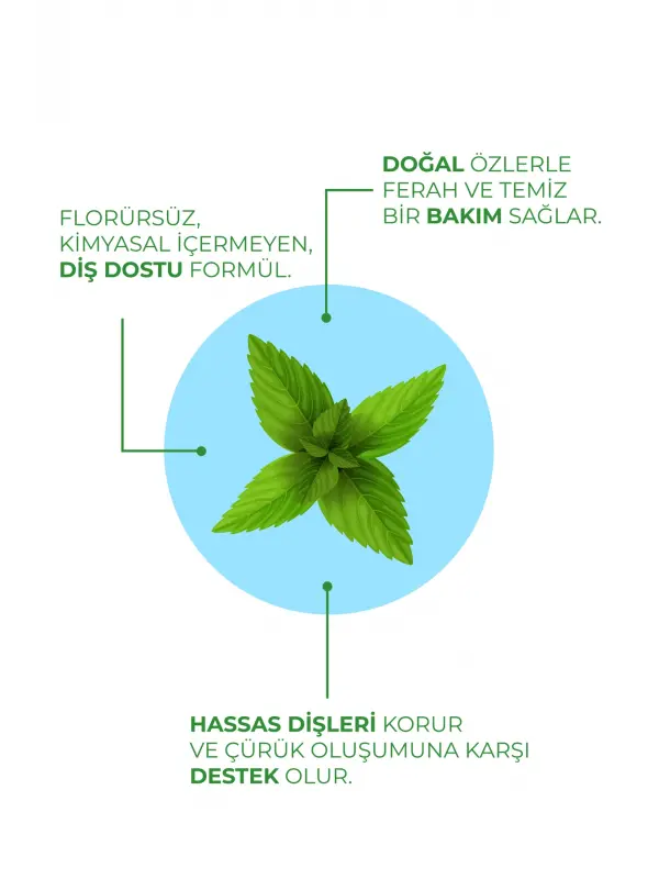 Agarta Doğal Yoğun Naneli Florürsüz Ferah Nefes Diş Macunu 100 Ml