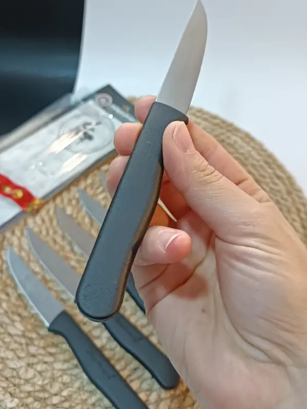 Sürdövbisa 61010 6lı Meyve Seti (Sivri Uç ) Siyah