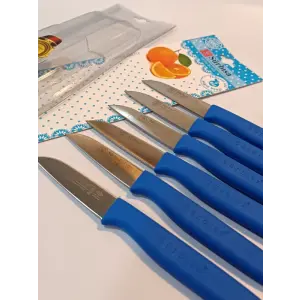 Sürbisa Meyve Takımı Mavi (6lı)61007 7.0 cm