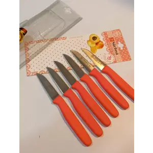 Sürbisa Meyve Takımı Turuncu (6lı)61007 7.0 cm