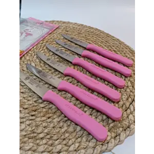 Sürdövbisa 61010 6lı Meyve Seti (Sivri Uç ) Pembe