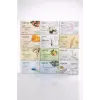 Agarta 12’li Doğal Sabun Seti 150 gr x 12 Çeşit – Argan, Keçi Sütü, Zeytinyağı, Bıttım, Kükürt, Saç Dökülmesi, Pirinç, Leke, Yağlı & Hassas Cilt Sabunları