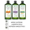 Agarta Agarta Kepeğe Karşı Şampuan Seti 3’lü 400 ml Ardıç Katranı Vegan Doğal