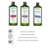 Agarta Agarta Renk Koruyucu Şampuan Seti 3’lü 400 ml ProVitamin B5 Keratin Vegan