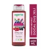 Agarta Doğal Orman Meyveli Duş Jeli 400 ml