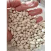 Şeker Fasulyesi 10 kg Türkiyenin En Lezzetli ve En Hızlı Pişen Fasulyesi Sofranızda