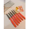 Sürbisa Meyve Takımı Turuncu (6lı)61007 7.0 cm