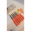Sürbisa Meyve Takımı Turuncu (6lı)61007 7.0 cm