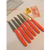 Sürbisa Meyve Takımı Turuncu (6lı)61007 7.0 cm