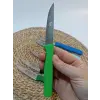 Sürdövbisa 61010 6lı Meyve Seti (Sivri Uç ) Karma