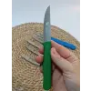 Sürdövbisa 61010 6lı Meyve Seti (Sivri Uç ) Karma