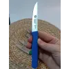 Sürdövbisa 61010 6lı Meyve Seti (Sivri Uç ) Karma