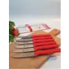 Sürdövbisa 61010 6lı Meyve Seti (Sivri Uç ) Kırmızı