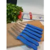 Sürdövbisa 61010 6lı Meyve Seti (Sivri Uç ) Mavi