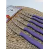 Sürdövbisa 61010 6lı Meyve Seti (Sivri Uç ) Mor