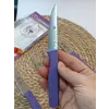 Sürdövbisa 61010 6lı Meyve Seti (Sivri Uç ) Mor