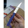 Sürdövbisa 61010 6lı Meyve Seti (Sivri Uç ) Mor