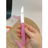 Sürdövbisa 61010 6lı Meyve Seti (Sivri Uç ) Pembe