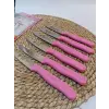 Sürdövbisa 61010 6lı Meyve Seti (Sivri Uç ) Pembe
