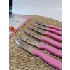 Sürdövbisa 61010 6lı Meyve Seti (Sivri Uç ) Pembe