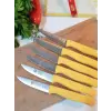 Sürdövbisa 61010 6lı Meyve Seti (Sivri Uç ) Sarı