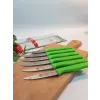 Sürdövbisa 61010 6lı Meyve Seti (Sivri Uç ) Yeşil