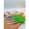 Sürdövbisa 61010 6lı Meyve Seti (Sivri Uç ) Yeşil