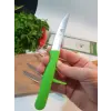 Sürdövbisa 61010 6lı Meyve Seti (Sivri Uç ) Yeşil
