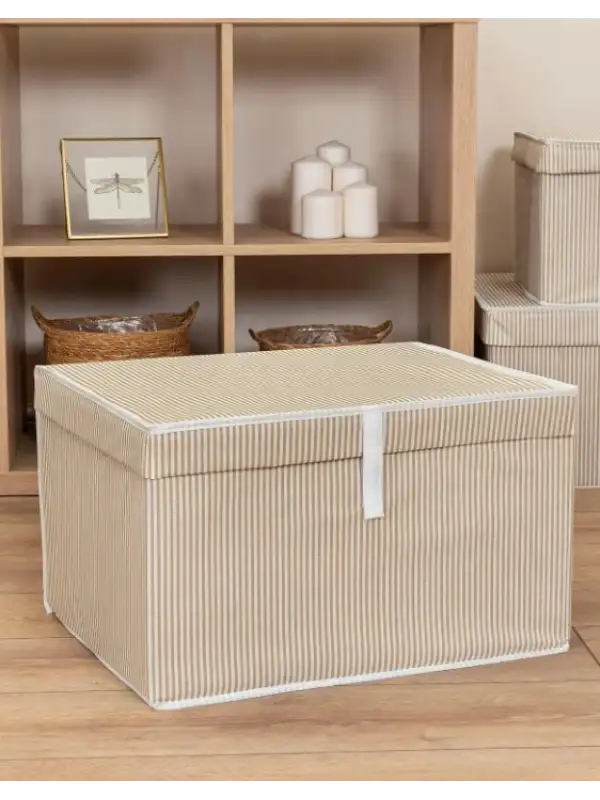 Alas Home Çok Amaçlı Kutu Maxi 50*40*30 07189