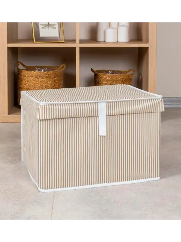 Alas Home Çok Amaçlı Kutu Mini 40*30*26 07196