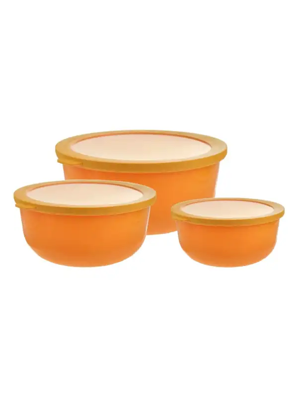 Ayza Yuvarlak Saklama Kabı 3 Lü 593