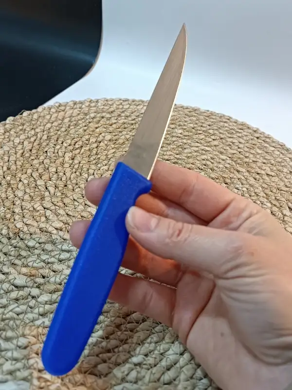 Chefsun Sebze / Meyve Bıçağı  1 Adet Mavi