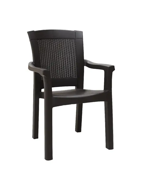 Daystone Elegance Kollu Sandalye Kahve (gardenya)