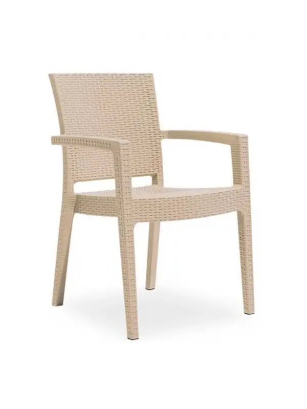 Daystone Paris Kollu Sandalye Kapiçino (hilton)