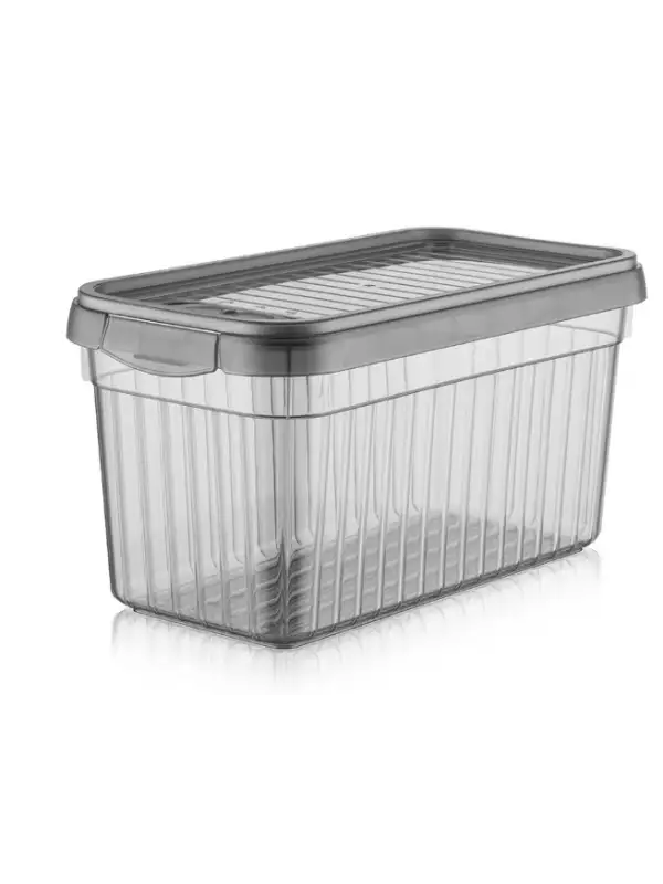 Folylife Leon Saklama Kabı 4 Lt Bnm-7994