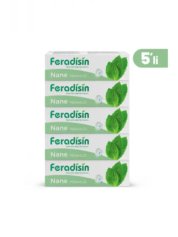 Gimdes Helal Sertifikalı Nane Ferahlığı Diş Macunu 5 li Set