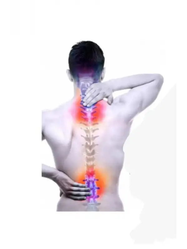 Kuyruk Yagı Kremi El yapımı [kutusuz Cam Kavanoz 210 Ml.] Özel Güçlendirilmiş Doğal Formülüyle