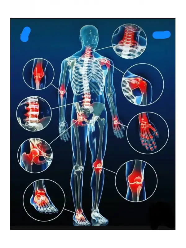 Kuyruk Yagı Kremi El yapımı [kutusuz Cam Kavanoz 210 Ml.] Özel Güçlendirilmiş Doğal Formülüyle