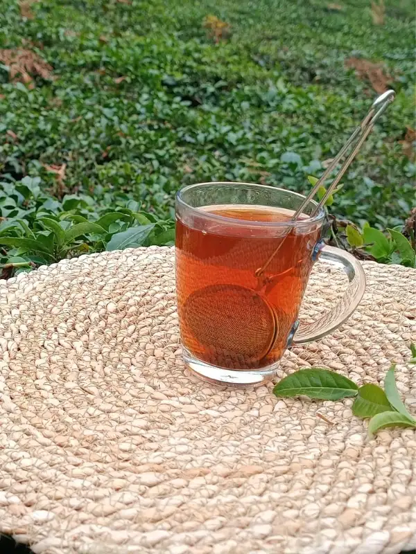 Paslanmaz Metal Çay Süzgeci