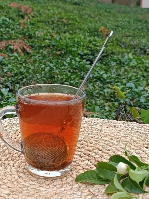 Paslanmaz Metal Çay Süzgeci