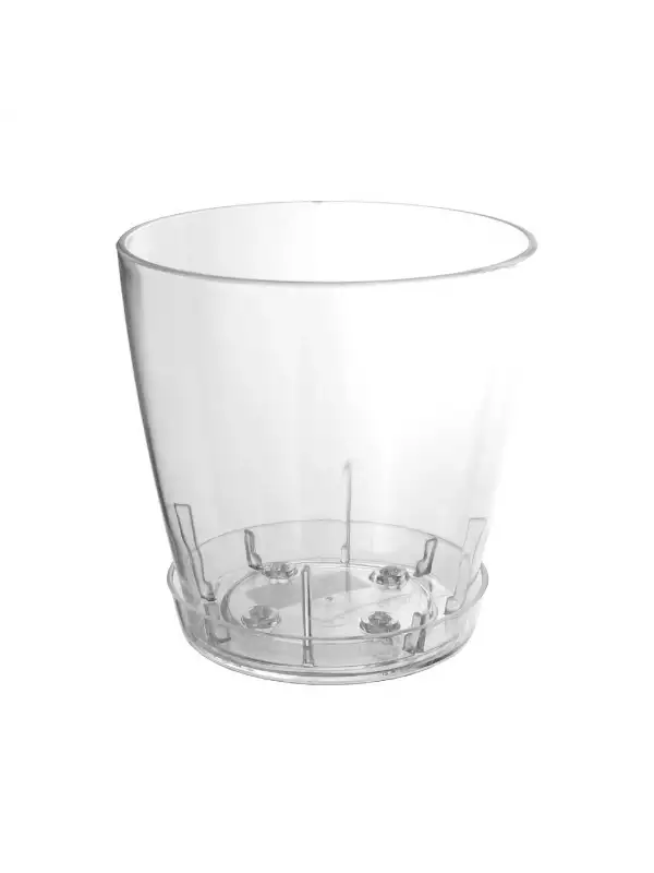 Poliwork Vanda Orkide Saksı Küçük