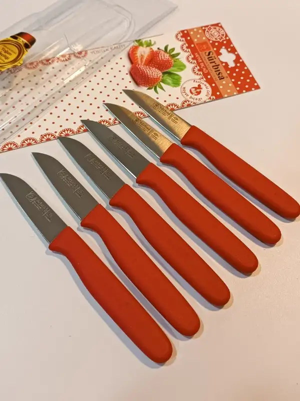 Sürbisa Meyve Takımı Kırmızı (6lı)61007 7.0 cm