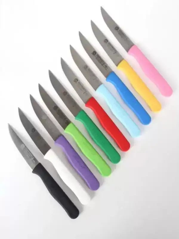 Sürdövbisa 61001 Meyve Bıçağı