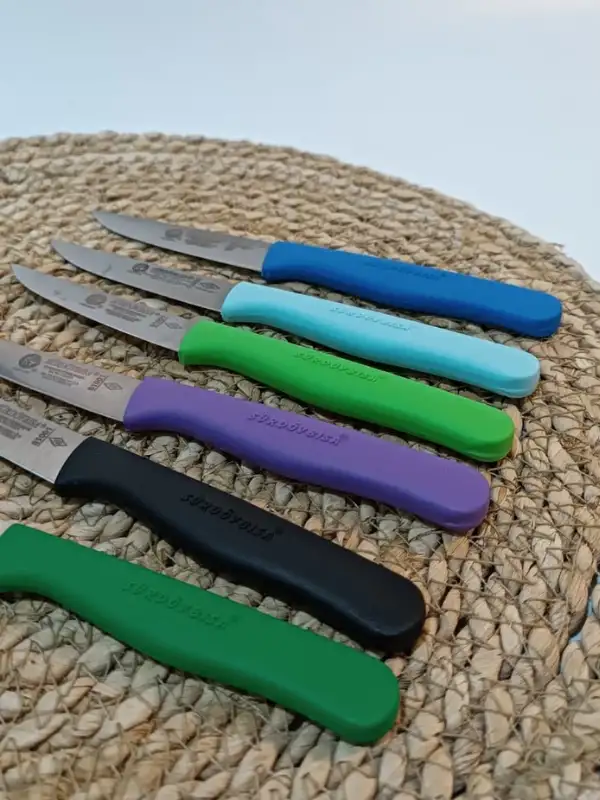 Sürdövbisa 61010 6lı Meyve Seti (Sivri Uç ) Karma