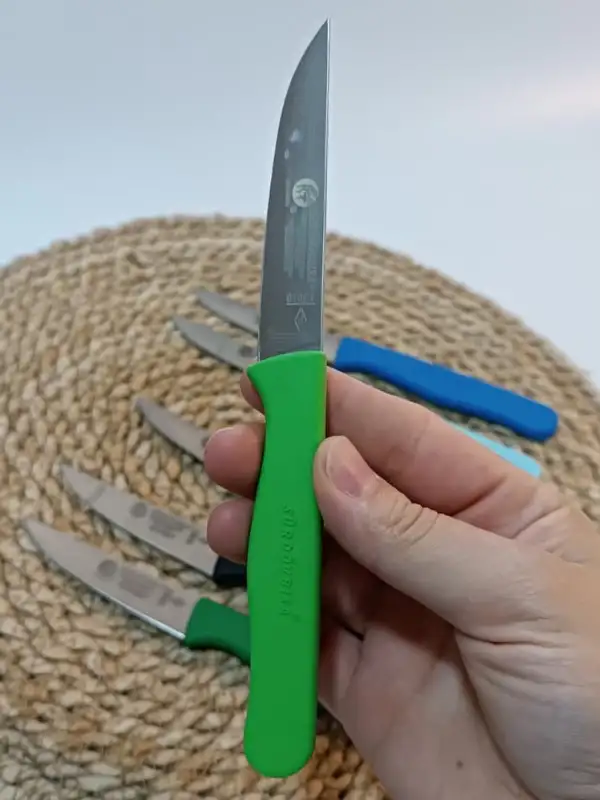 Sürdövbisa 61010 6lı Meyve Seti (Sivri Uç ) Karma