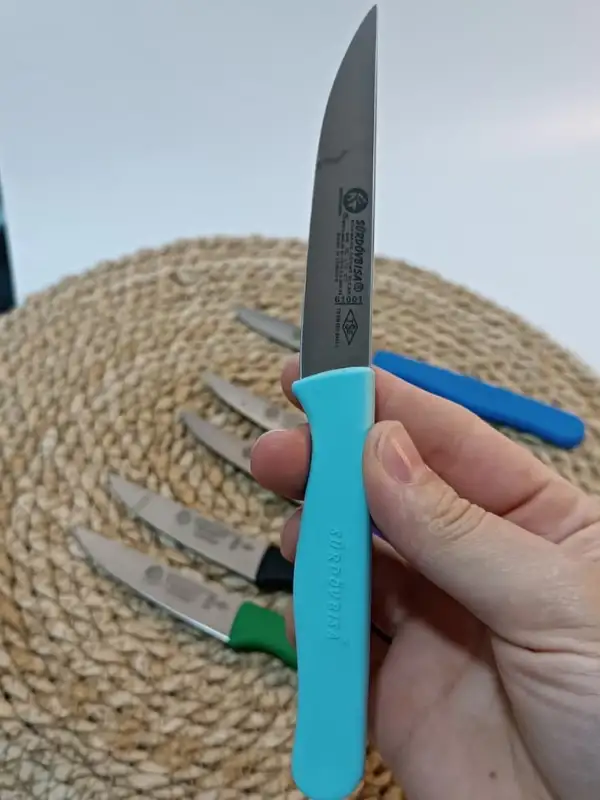 Sürdövbisa 61010 6lı Meyve Seti (Sivri Uç ) Karma