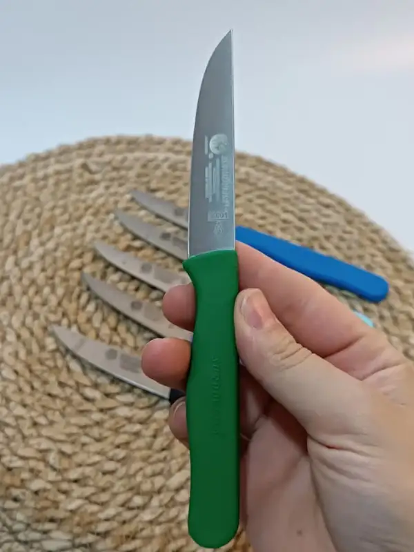 Sürdövbisa 61010 6lı Meyve Seti (Sivri Uç ) Karma