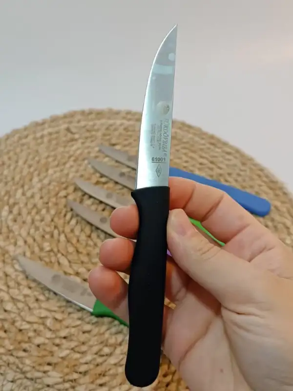 Sürdövbisa 61010 6lı Meyve Seti (Sivri Uç ) Karma